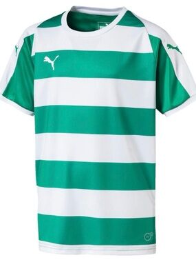 Puma Drycell LIGA Hooper Crew Neck Soccer Jersey Green/White Striped Size M NWT